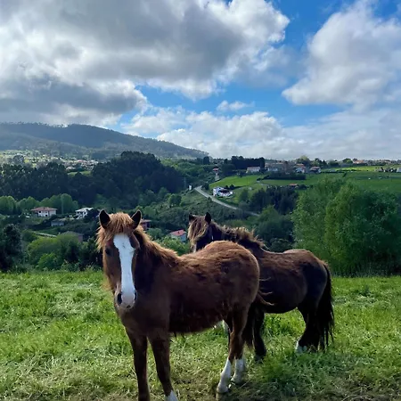 Con Piscina, Jacuzzi Y Vistas Al Mar, A 5 Min Del Puerto De * Cudillero